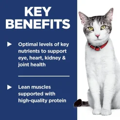 Chicken Recipe Adult 11+ Cat Food