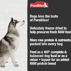 Chicken Recipe Dog Food