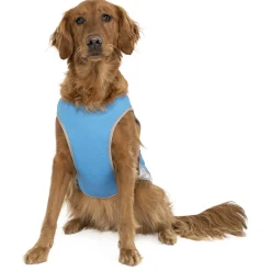 Chill Seeker Blue Cooling Vest