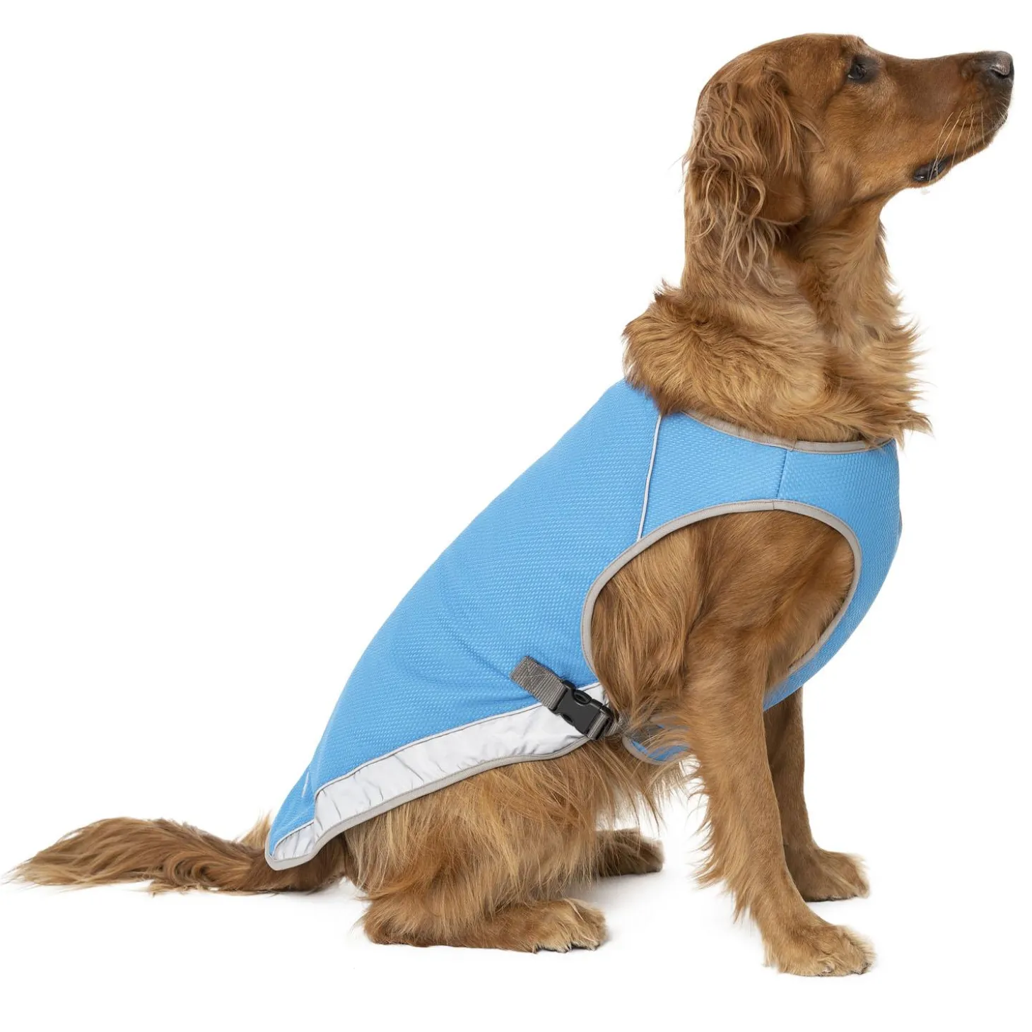 Chill Seeker Blue Cooling Vest