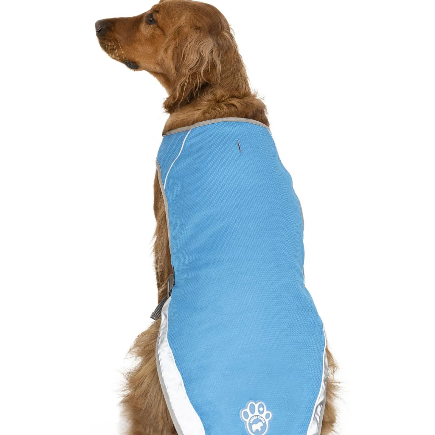 Chill Seeker Blue Cooling Vest