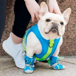 Chill Seeker Blue Cooling Harness