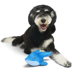 Chill Seeker Dolphin Cooling Pals Dog Toy