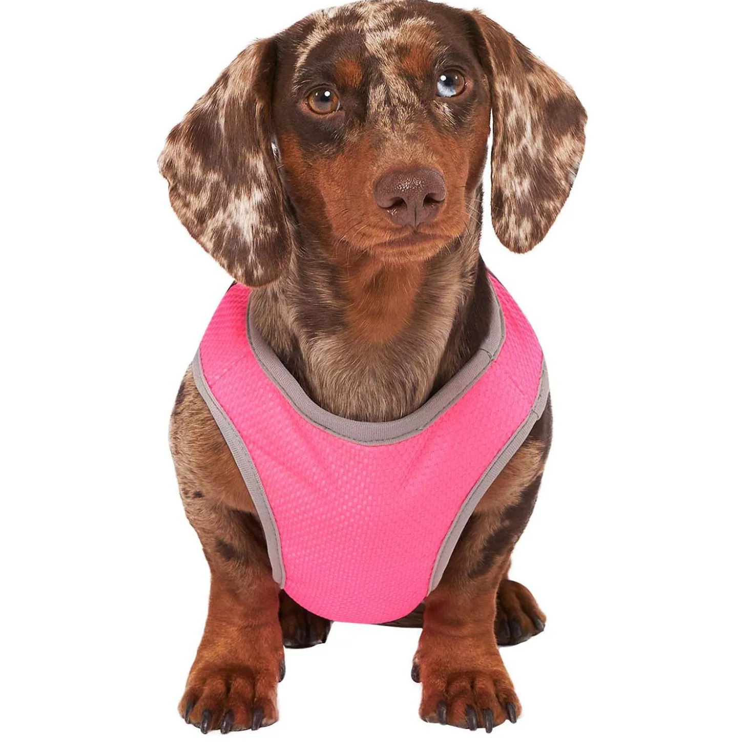 Chill Seeker Neon Pink Cooling Vest
