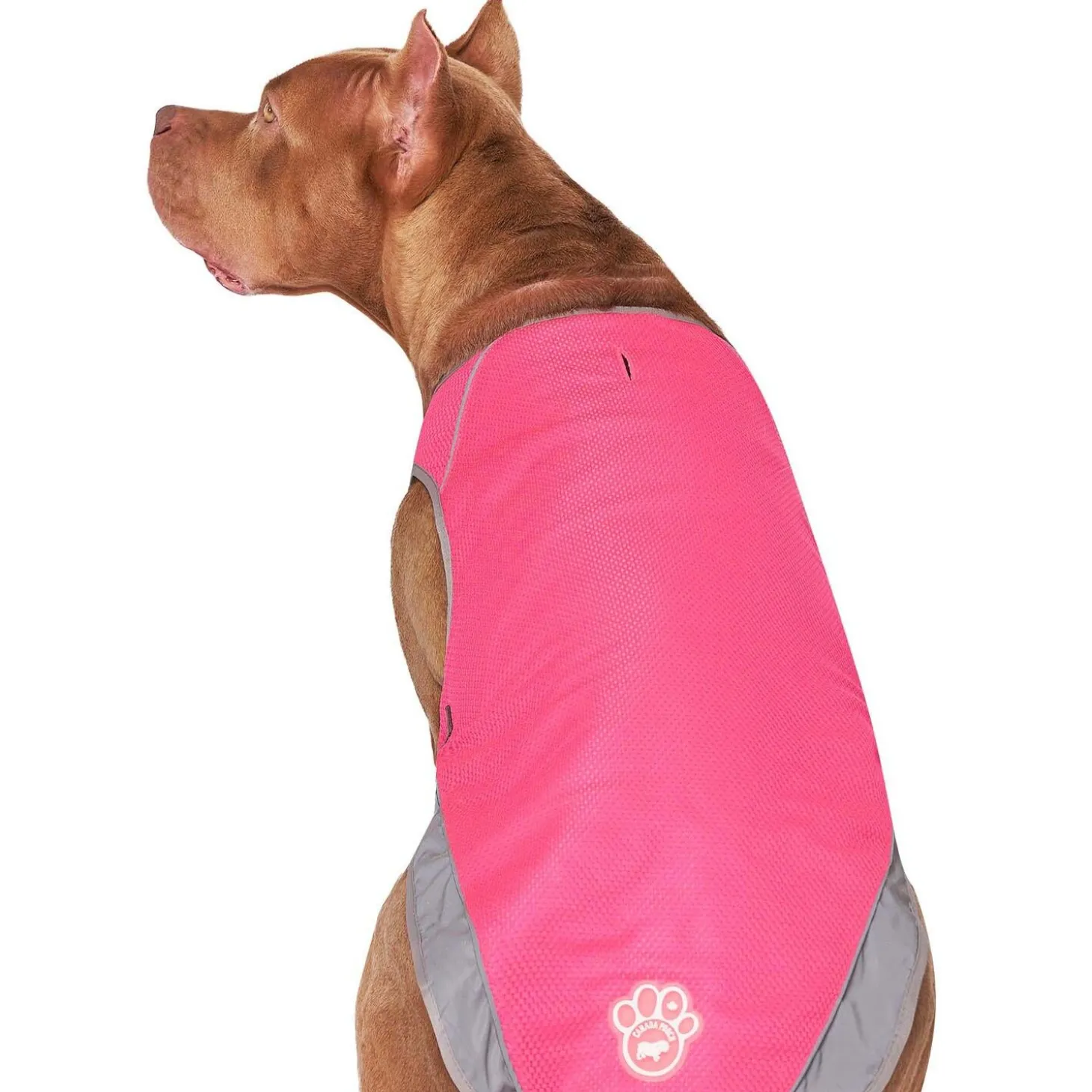 Chill Seeker Neon Pink Cooling Vest