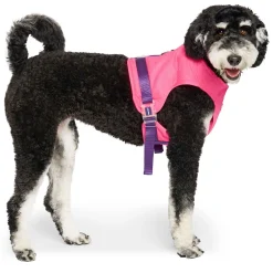 Chill Seeker Neon Pink Cooling Harness