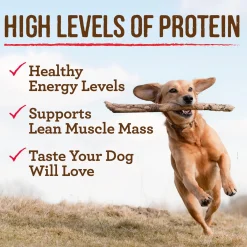 Chunky Carver's Delight Dinner in Gravy Adult Dog Food