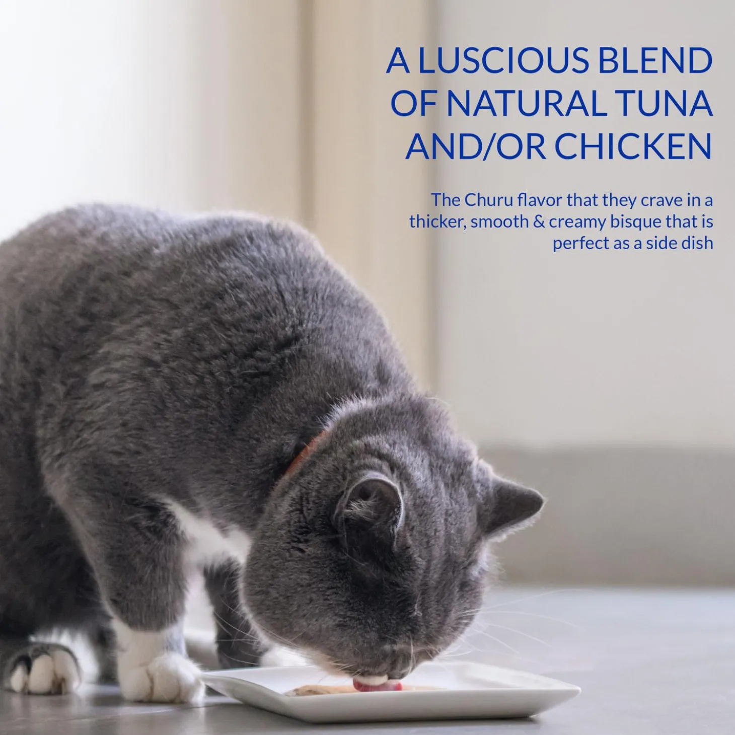 Churu Bisque Chicken Recipe Cat Food Topper