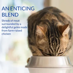 Churu Stew Chicken Recipe Cat Food Topper