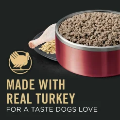 Classic Sensitive Skin & Stomach Turkey & Oat Meal Entree Adult Dog Food