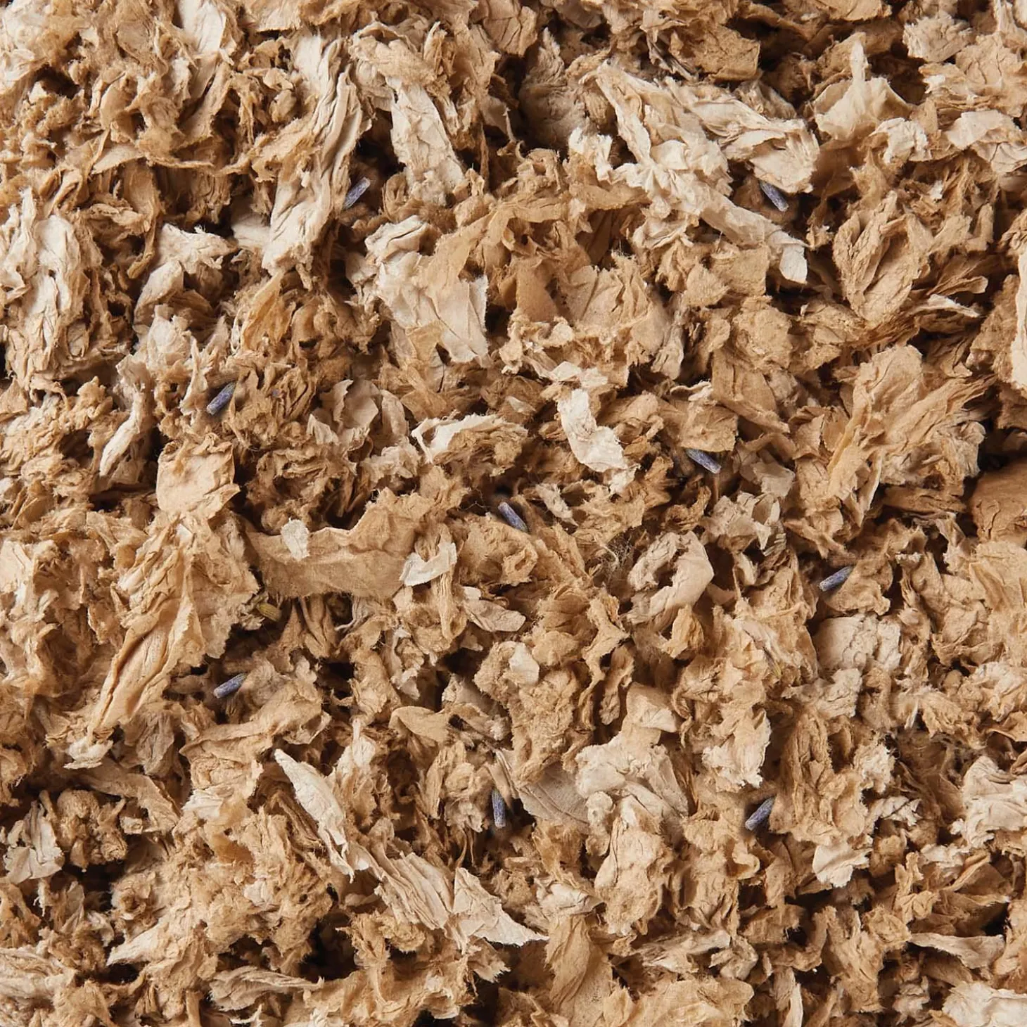 Clean & Cozy Natural with Lavender Paper Bedding