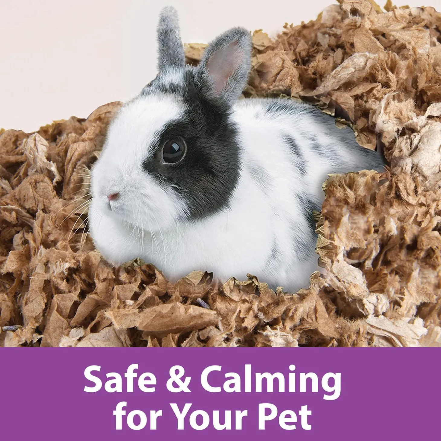 Clean & Cozy Natural with Lavender Paper Bedding