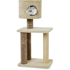 Coco Tree Kitty Condo