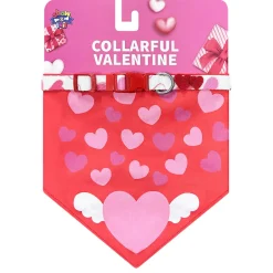 Collarful Valentine Bandana Collar Set