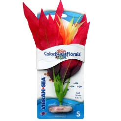 ColorBurst Florals Artificial Amazon Sword Silk-Style Plant