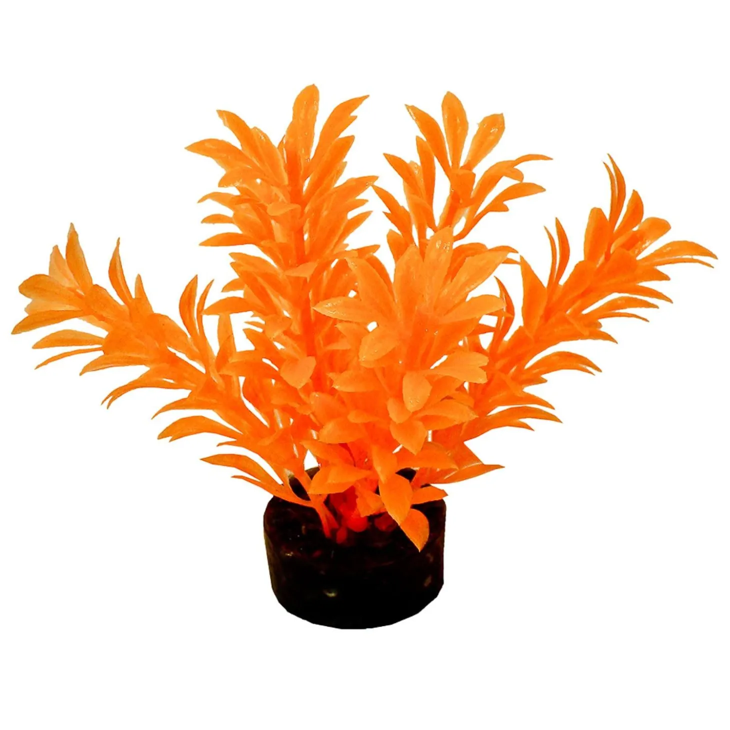 ColorBurst Florals Exotic Mini Plant - Neon Orange