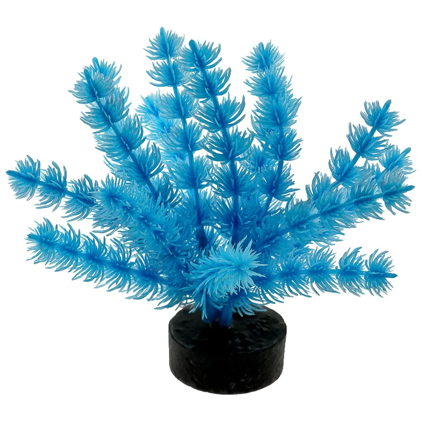 ColorBurst Florals Foxtail Plant - Neon Blue