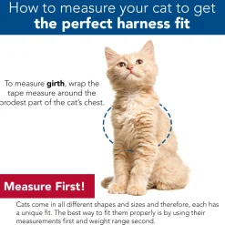 Comfort Soft Adjustable Blue Lagoon Mesh Cat Harness & Leash