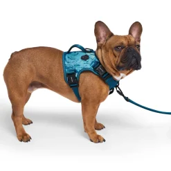 Complete Control Blue Marble Dog Harness