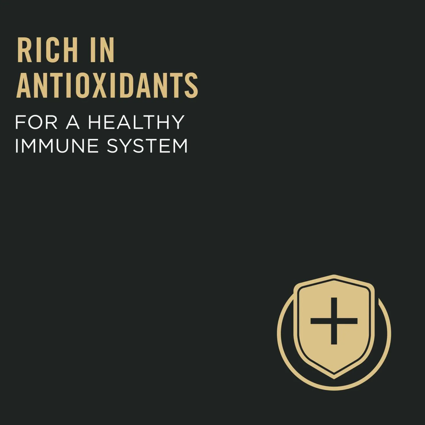 Complete Essentials Chicken & Rice Formula Adult Cat Food