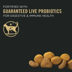 Complete Essentials Chicken & Rice Formula Adult Cat Food