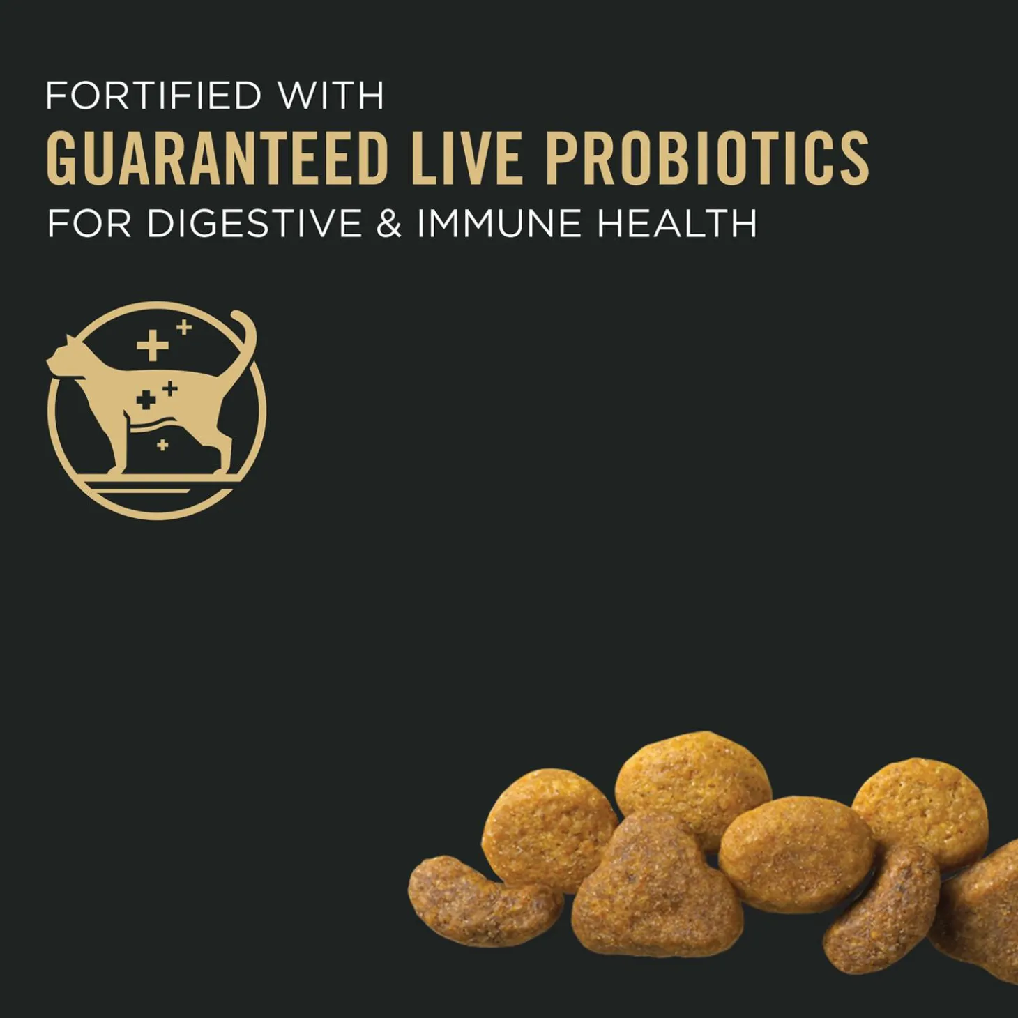 Complete Essentials Chicken & Rice Formula Adult Cat Food