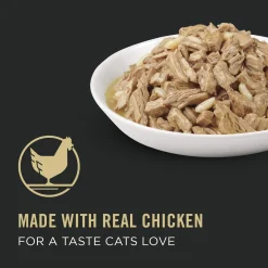Complete Essentials Chicken Entree Adult Cat Food