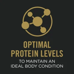 Complete Essentials Chicken & Rice Entree Senior Dog Food