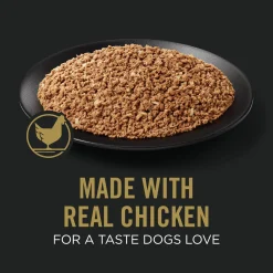 Complete Essentials Chicken & Rice Entree Senior Dog Food