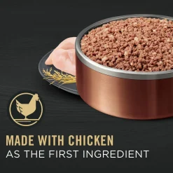 Complete Essentials Classic Chicken & Rice Entree Adult Dog Food