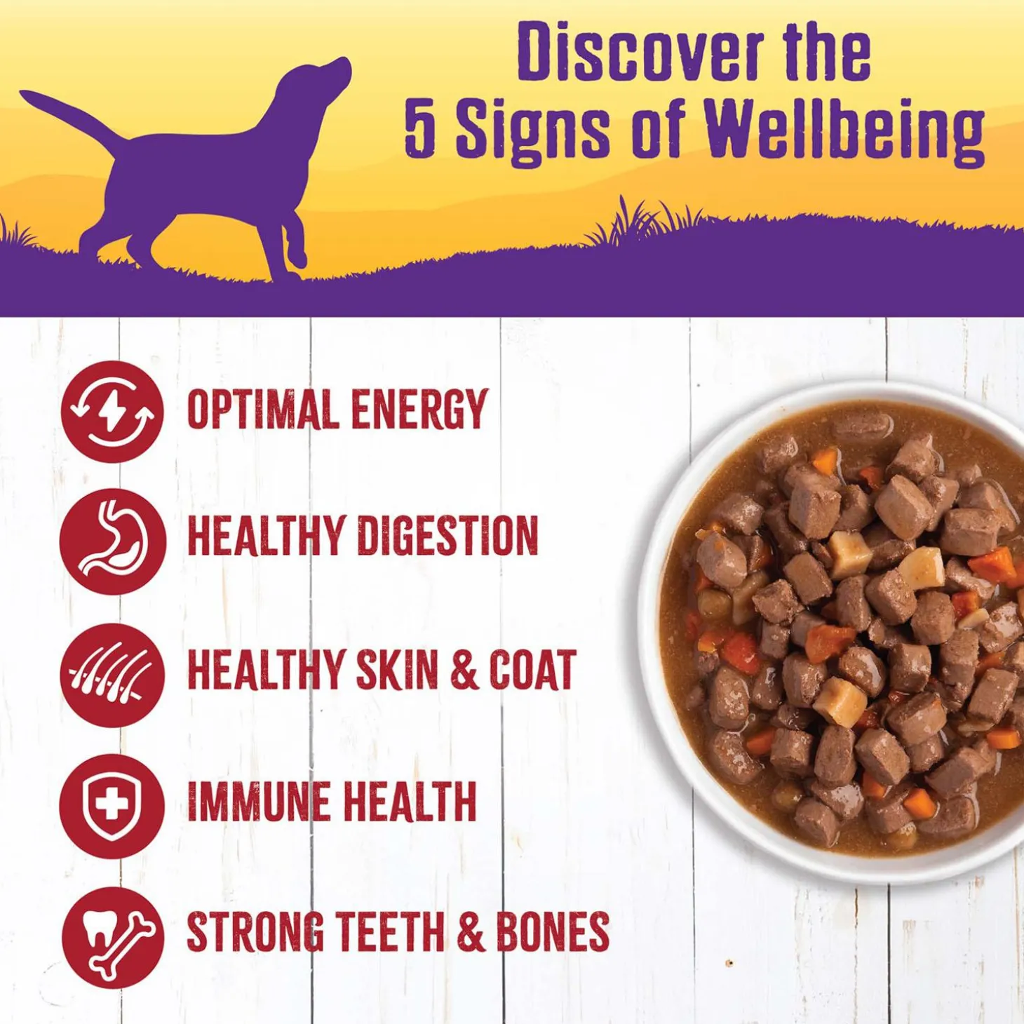 Complete Health Beef Stew with Carrots & Potatoes Dog Food