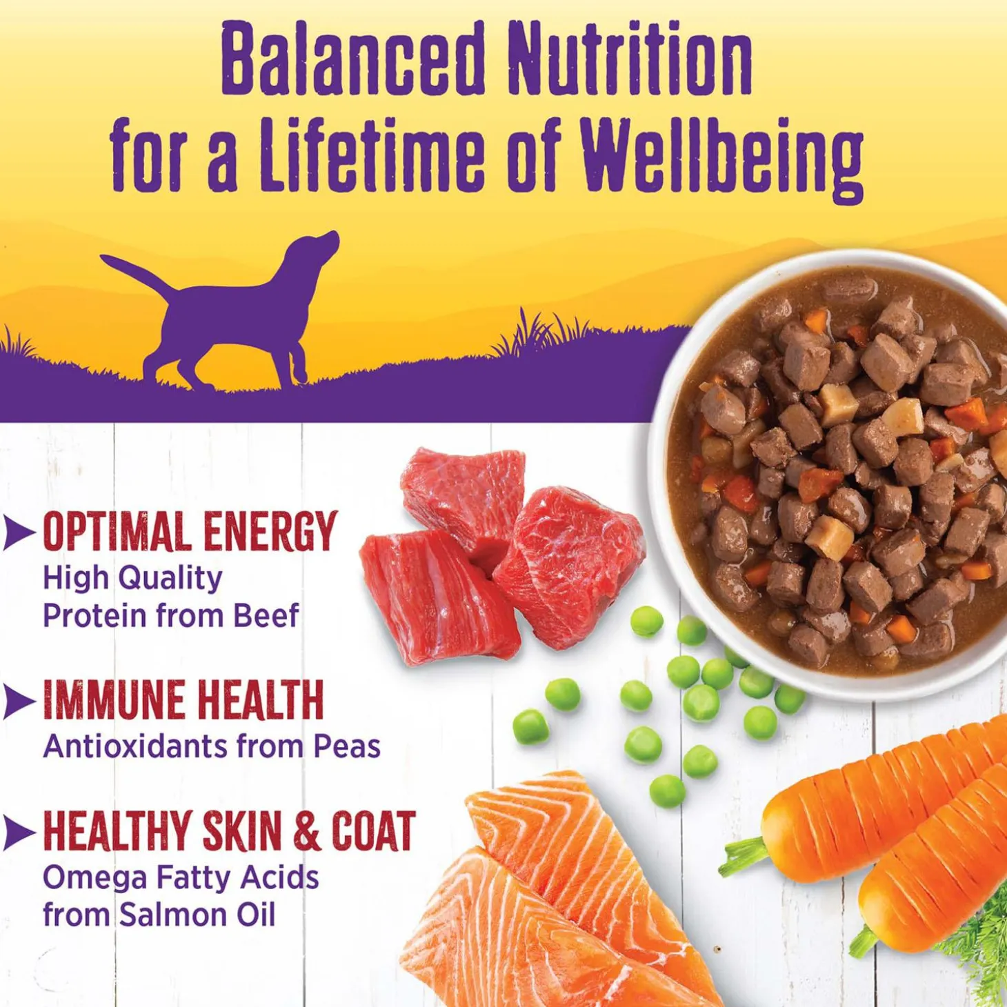 Complete Health Beef Stew with Carrots & Potatoes Dog Food