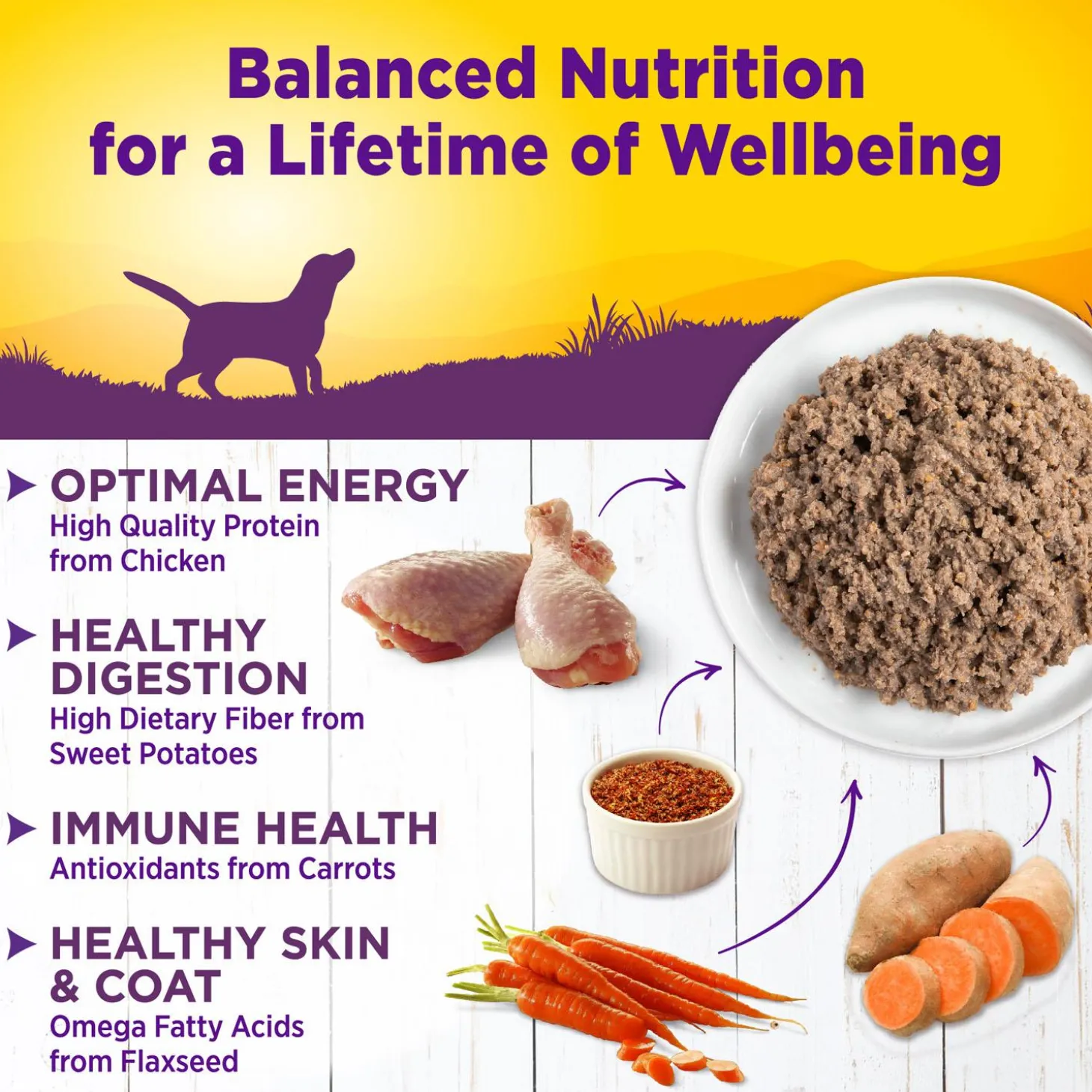 Complete Health Chicken & Sweet Potato Recipe Pate Dog Food