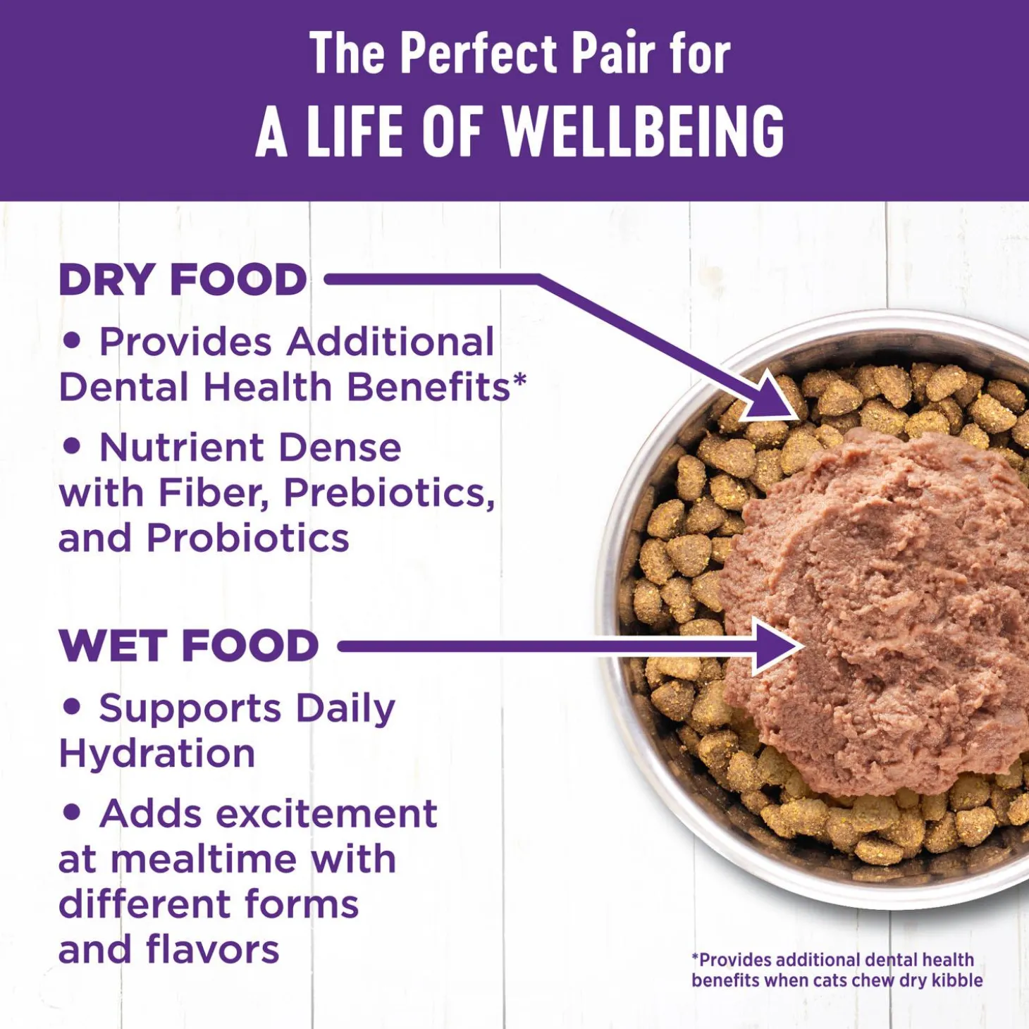 Complete Health Pate Favourites Variety Pack Kitten Cat Food