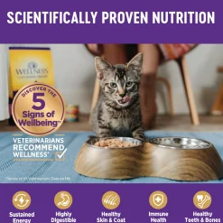 Complete Health Sliced Chicken Entree Adult Cat Food