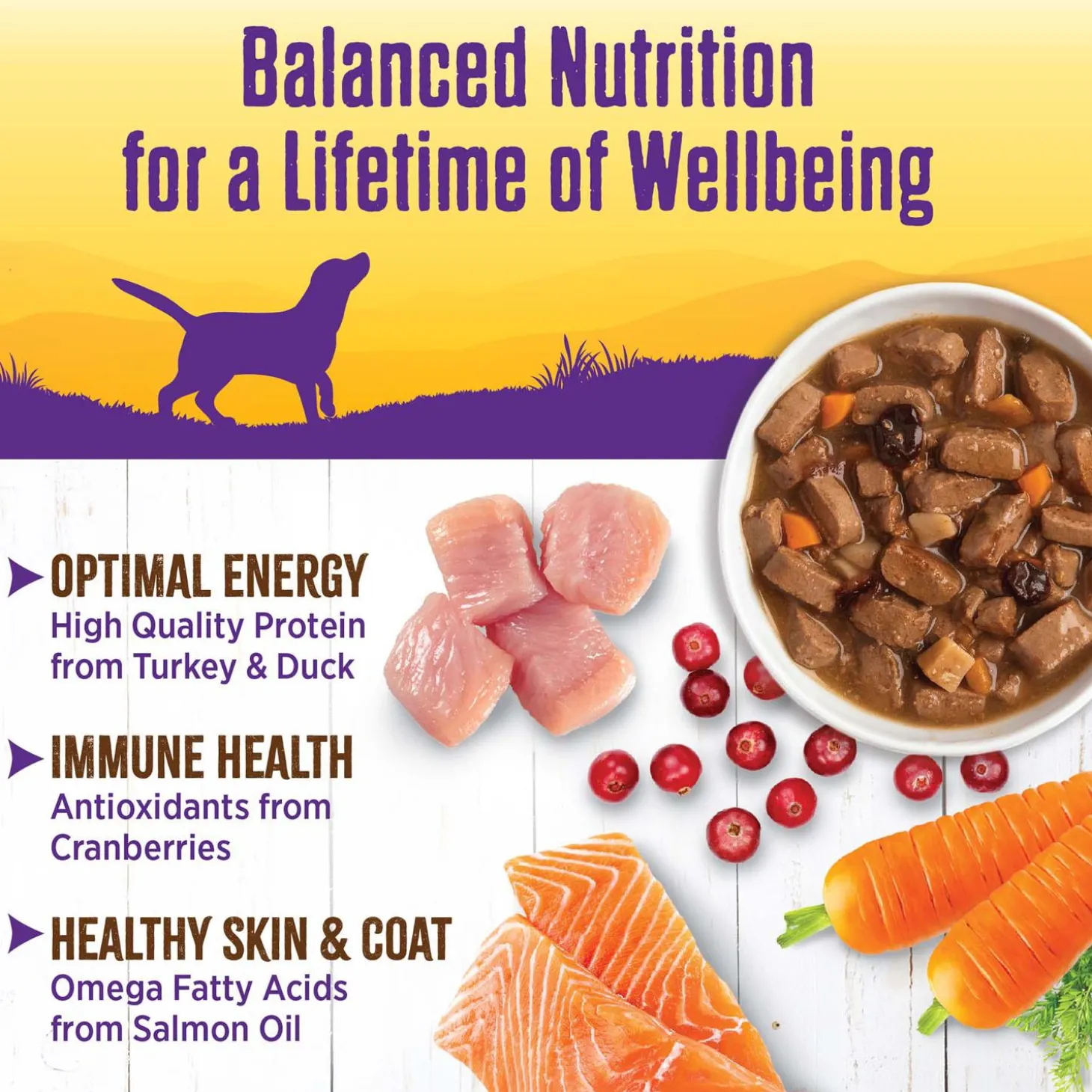 Complete Health Turkey & Duck Stew with Cranberries & Sweet Potato Dog Food