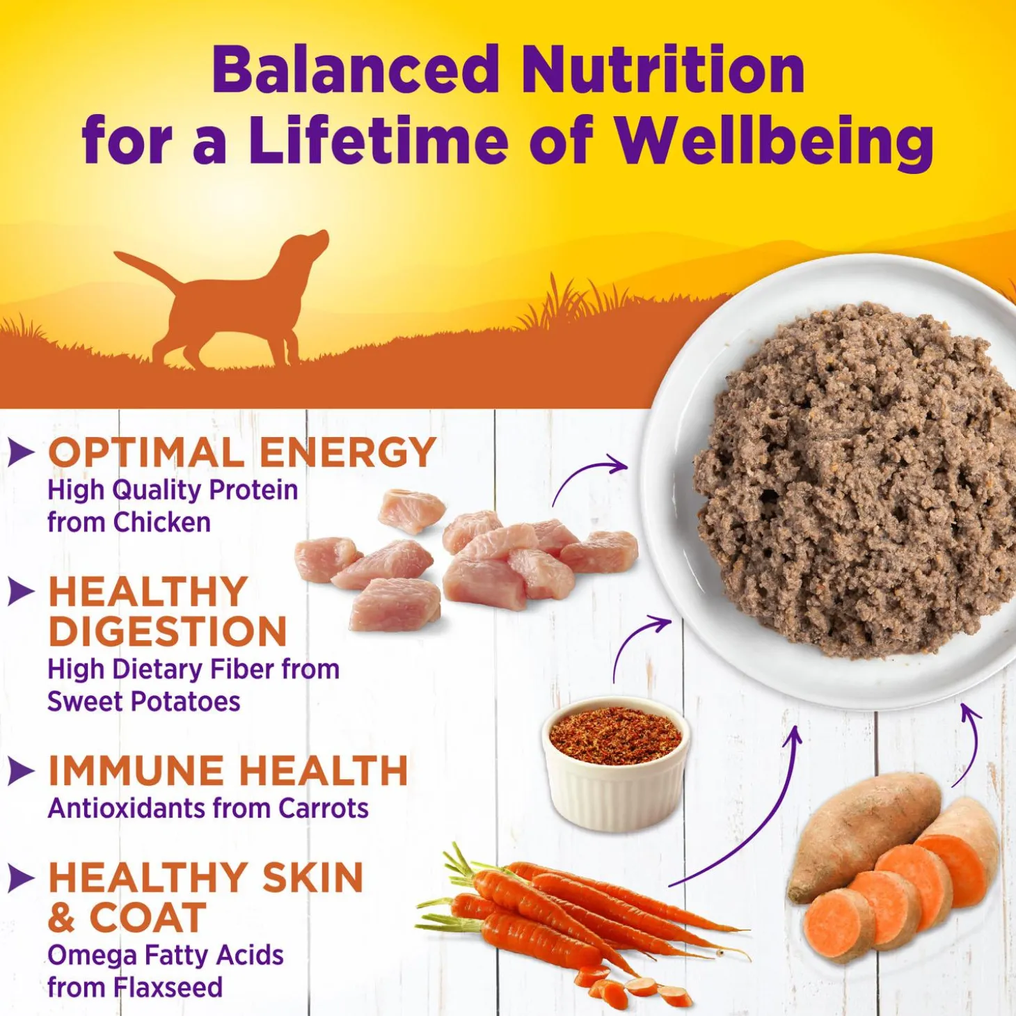 Complete Health Turkey & Sweet Potato Recipe Pate Dog Food