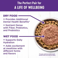 Complete Health Turkey & Salmon Entree Pate Adult Cat Food