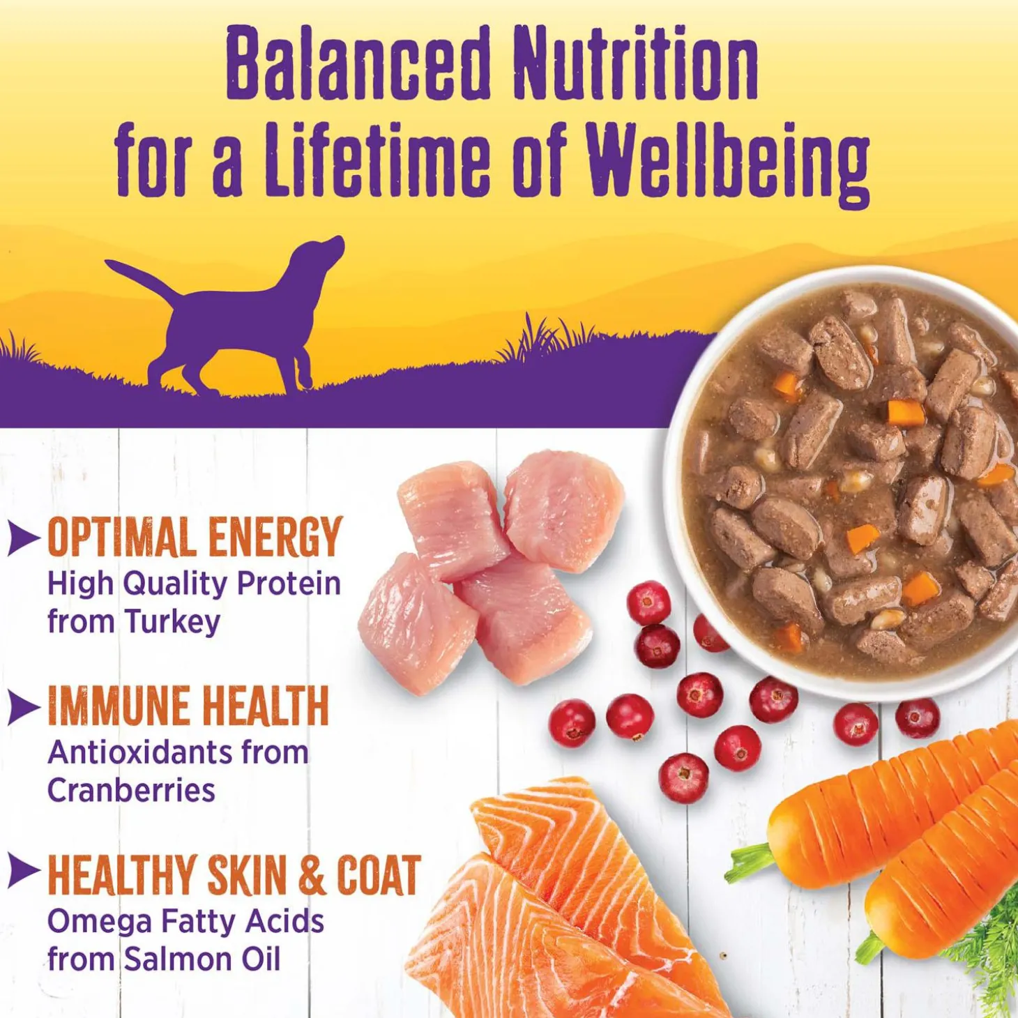 Complete Health Turkey Stew with Carrots & Barley Dog Food