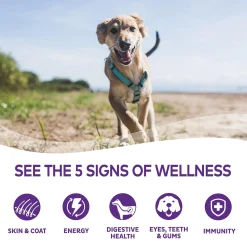 Complete Health Turkey Stew with Carrots & Barley Dog Food