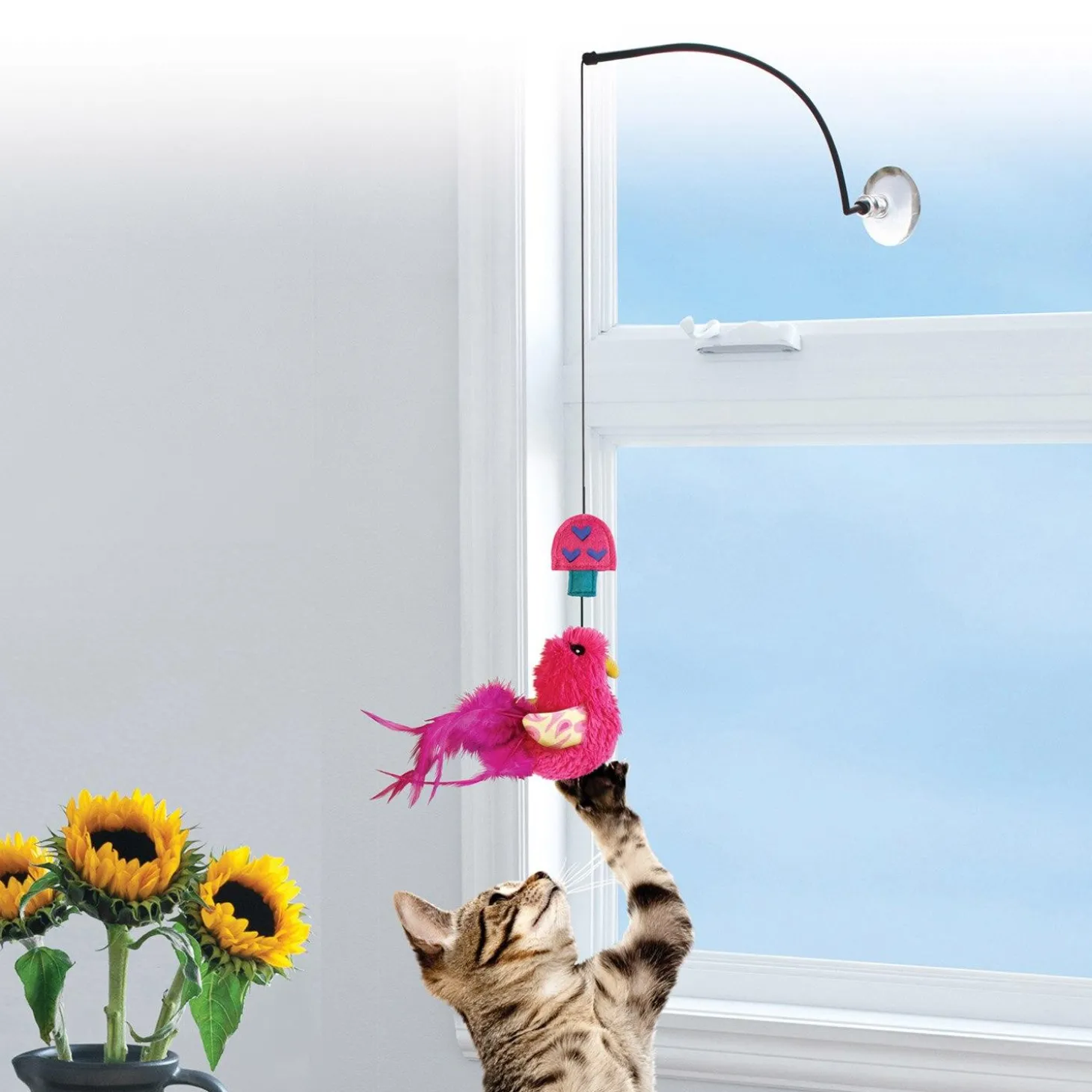 Connects Window Teaser Assorted Cat Toy