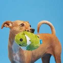 Consuela the Cactus Dog Toy