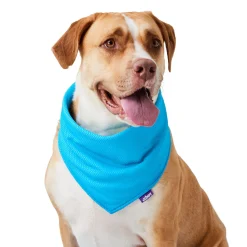 Cooling Blue Bandana