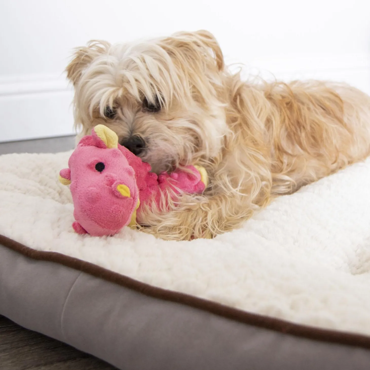 Coral Dragon Dog Toy