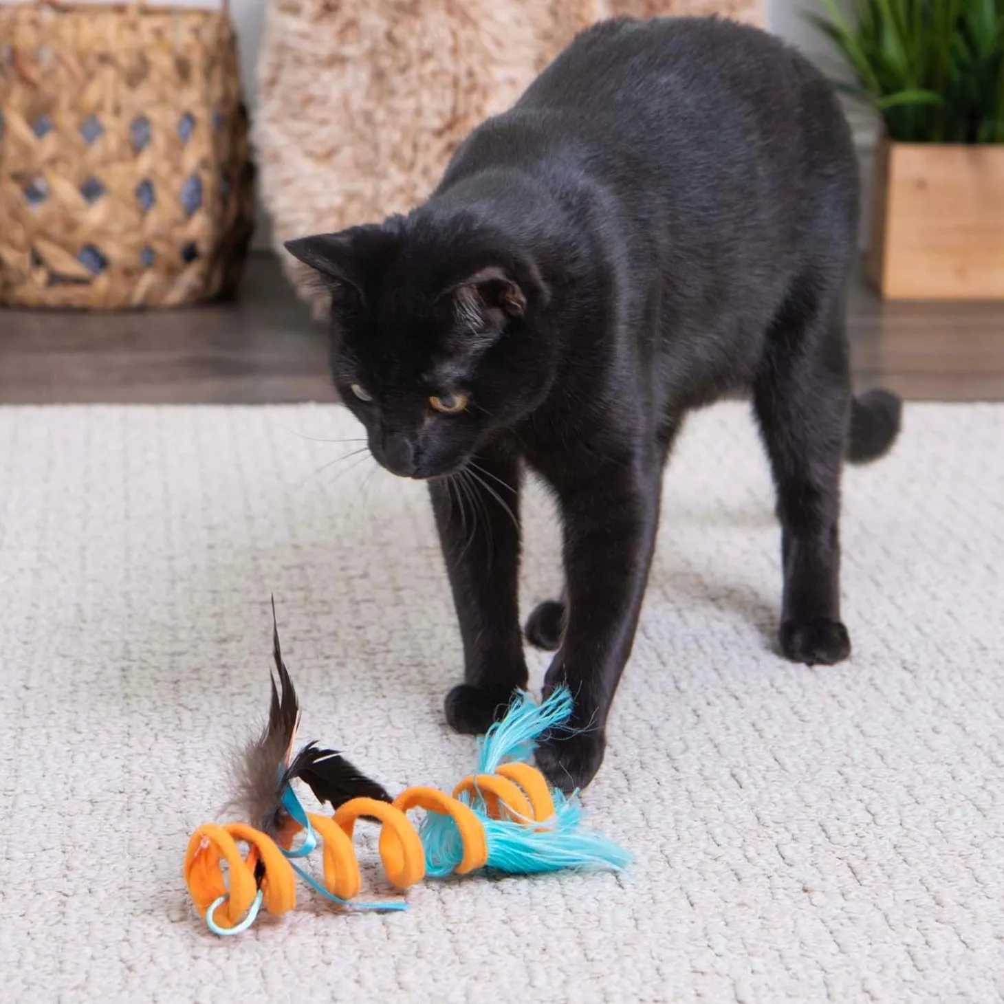 Crazy Coil Springy Cat Toy