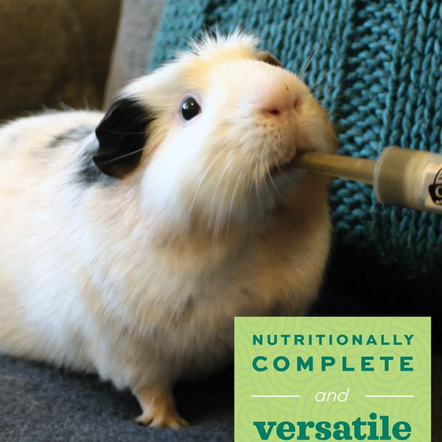 Critical Care Herbivore Apple & Banana Flavour Feeding Formula