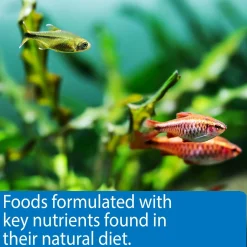 14-Day Pyramid Fish Feeder