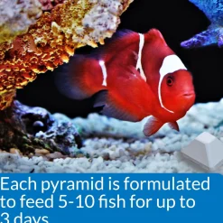 3-Day Pyramid Fish Feeder
