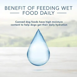 Delights New York Strip Flavour Pate Small Breed Adult Dog Food