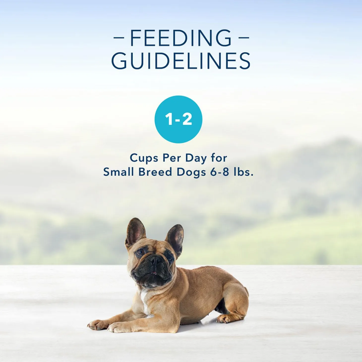 Delights Prime Rib with Gravy Flavour Pate Small Breed Adult Dog Food